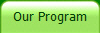 Our Program